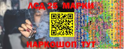 амф Кингисепп