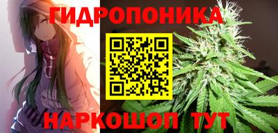 амф Кингисепп
