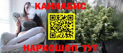 амф Кингисепп