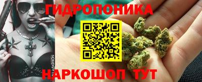 амф Кингисепп