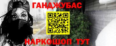 амф Кингисепп