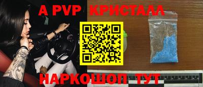 амф Кингисепп