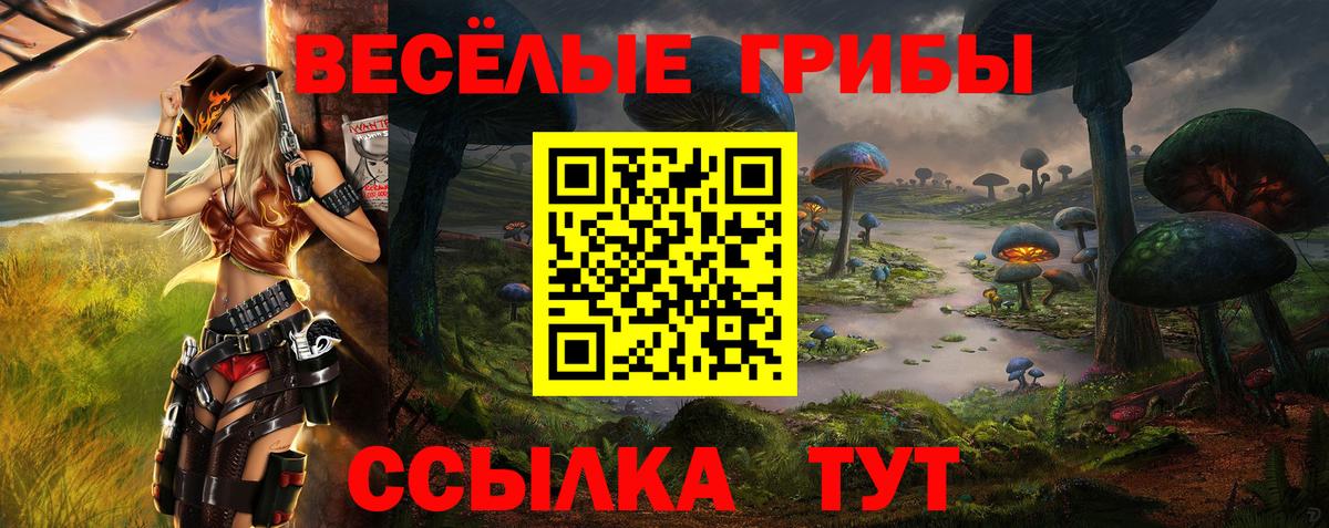 Крымск  Псилоцибиновые грибы мухоморы  Вход с VPN 